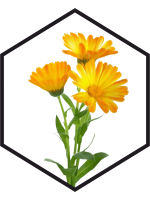 GOUDBLOEMENEXTRACT G/W, 200mL, 1L