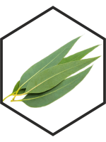 EUCALYPTUSBLADENEXTRACT G/W, 200mL, 1L