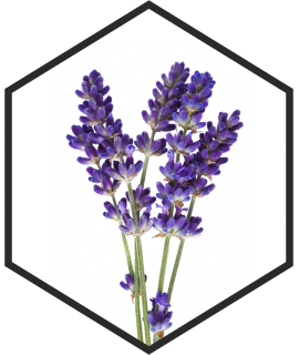 LAVENDER FLOWER EXTRACT G/W, L
