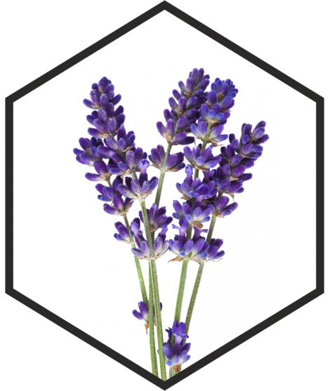 EXTRAIT DE FLEURS DE LAVANDE G/W, 200mL, 1L