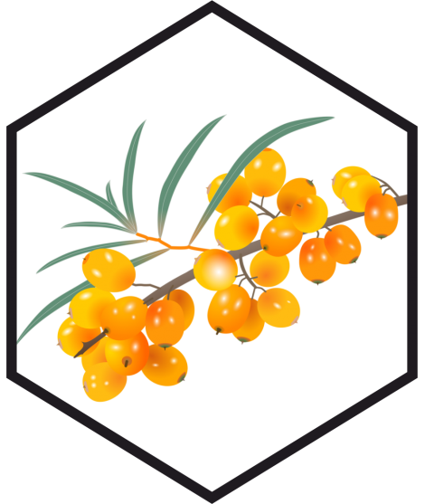 SEA BUCKTHORN BERRY EXTRACT G/W, 200mL, 1L