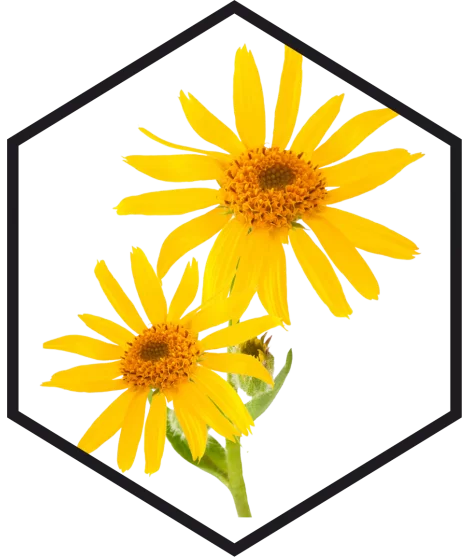 ARNICA FLOWER EXTRACT G/W, 200mL, 1L