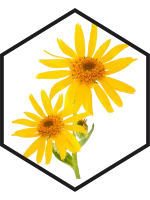 ARNICA FLOWER EXTRACT G/W, 200mL, 1L