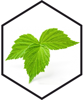 FRAMBOZENBLADENEXTRACT G/W, 200mL, 1L