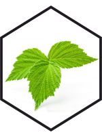 EXTRAIT DE FEUILLES DE FRAMBOISIER G/W, 200mL, 1L