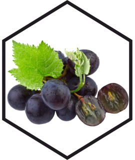 ESTRATTO DI SEMI D’UVA G/W, 200mL, 1L