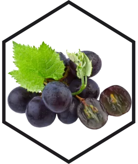 GRAPE SEED EXTRACT G/W, 200mL, 1L