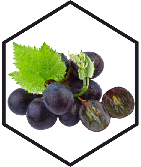 GRAPE SEED EXTRACT G/W, 200mL, 1L