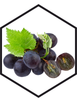 GRAPE SEED EXTRACT G/W, 200mL, 1L