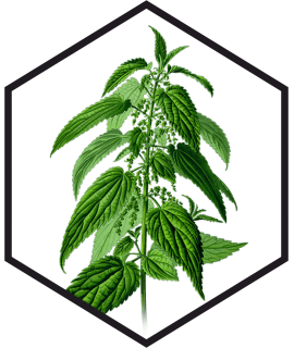 BRANDNETELBLADENEXTRACT G/W, 200mL