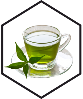 ESTRATTO DI TÈ VERDE G/W, 200mL, 1L