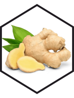 GINGER EXTRACT G/W, 200mL, 1L