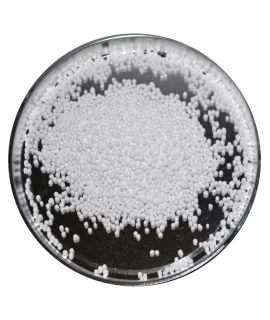 NATRIUMBENZOAT, (E211 food grade) 99,5%, 1kg