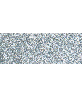 PIGMENTO GLITTER ARGENTO LUMINOSO, (008 HEX), 100g