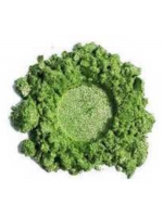 PIGMENT NACRÉ VERT CLAIR, 100g
